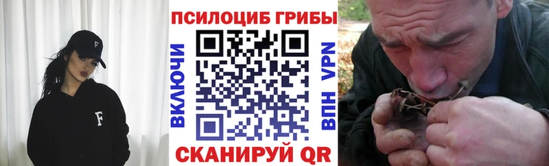 Галлюциногенные грибы мицелий  Аткарск 