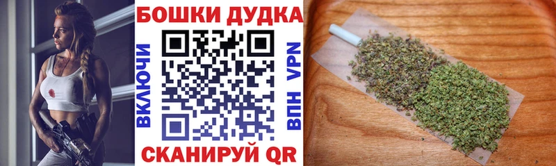 Бошки Шишки планчик Аткарск